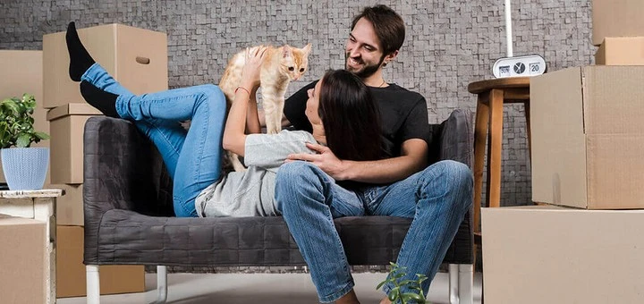 Moving cross country with cats